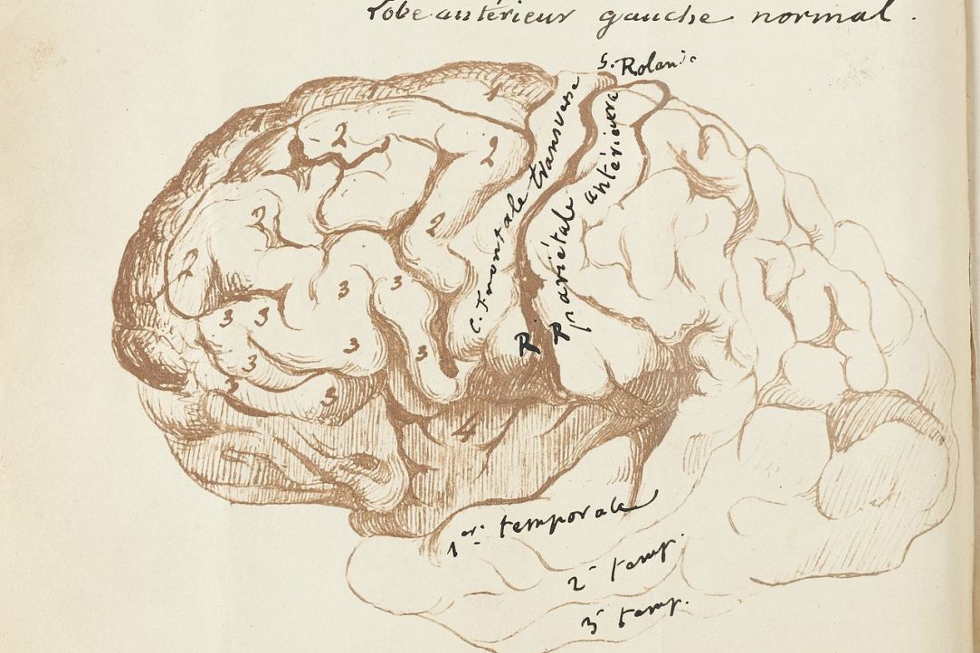 Illustration for news: Attention and Atención: How Language Proficiency Correlates with Cognitive Skills